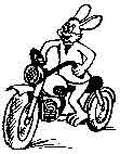 заяц на мотоцикле