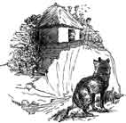 волк в деревне