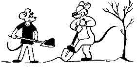 мыши в поле